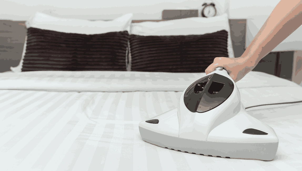 Professional Mattress Cleaning Gisborne